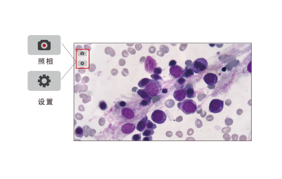 TrueChrome Metrics 显微数码摄像头