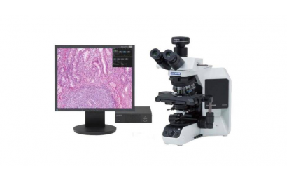 LEHU乐虎国际BX43生物显微镜